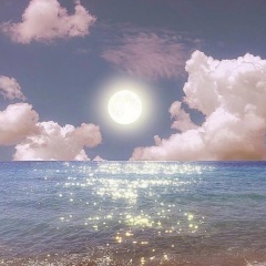 蔡庭贵(编曲蔡庭贵)