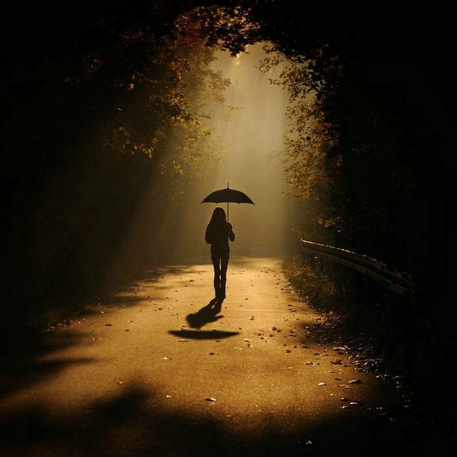 一个人的夜(一个人的夜晚适合看的电影)