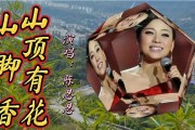 山顶有花山脚香(山顶有花山脚香伴奏)